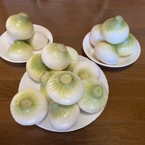 ★早生タマネギ「ソニック」4.5kg｜有機資材で育てた甘い玉ねぎ