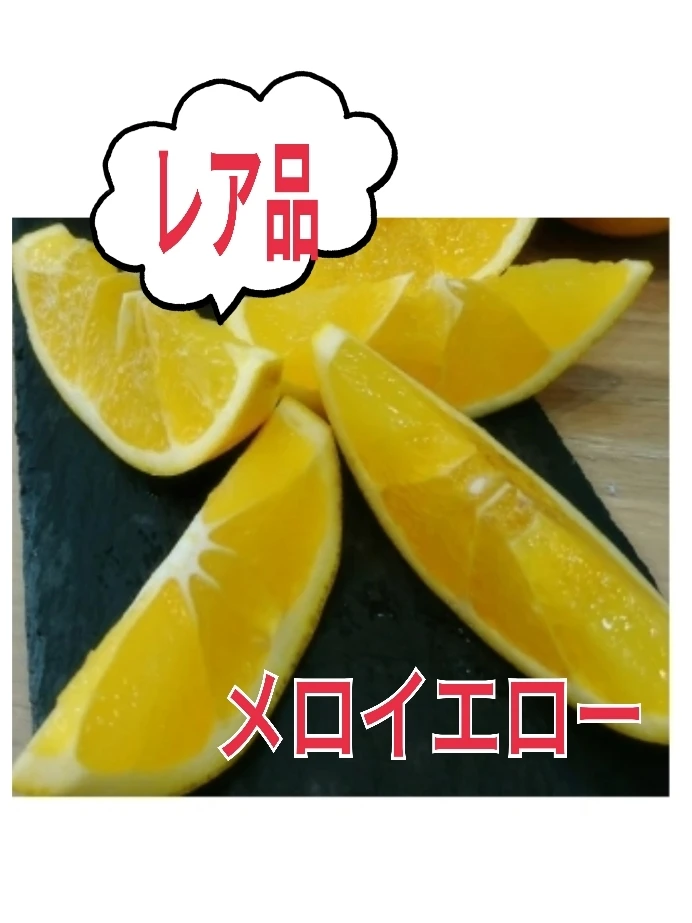 レア品付）ちょっと訳あり‼️2月から食べる柑橘❢5種春爛漫よくばりセット