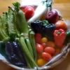 旬☆彩　元気★野菜セット～農薬/化学肥料・不使用