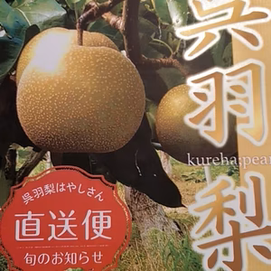 ☆ﾟ.*･｡呉羽の ゛ぶどう＆梨セット” 