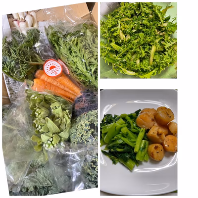 みんなの投稿の画像