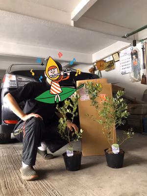 みんなの投稿の画像