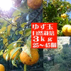 11月上旬～順次出荷！訳アリゆず玉3ｋｇ（25~45個・農薬：栽培期間中不使用）