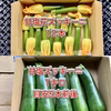 【鹿児島産】甘塩花ズッキーニ12本・甘塩ズッキーニ1キロ^_^