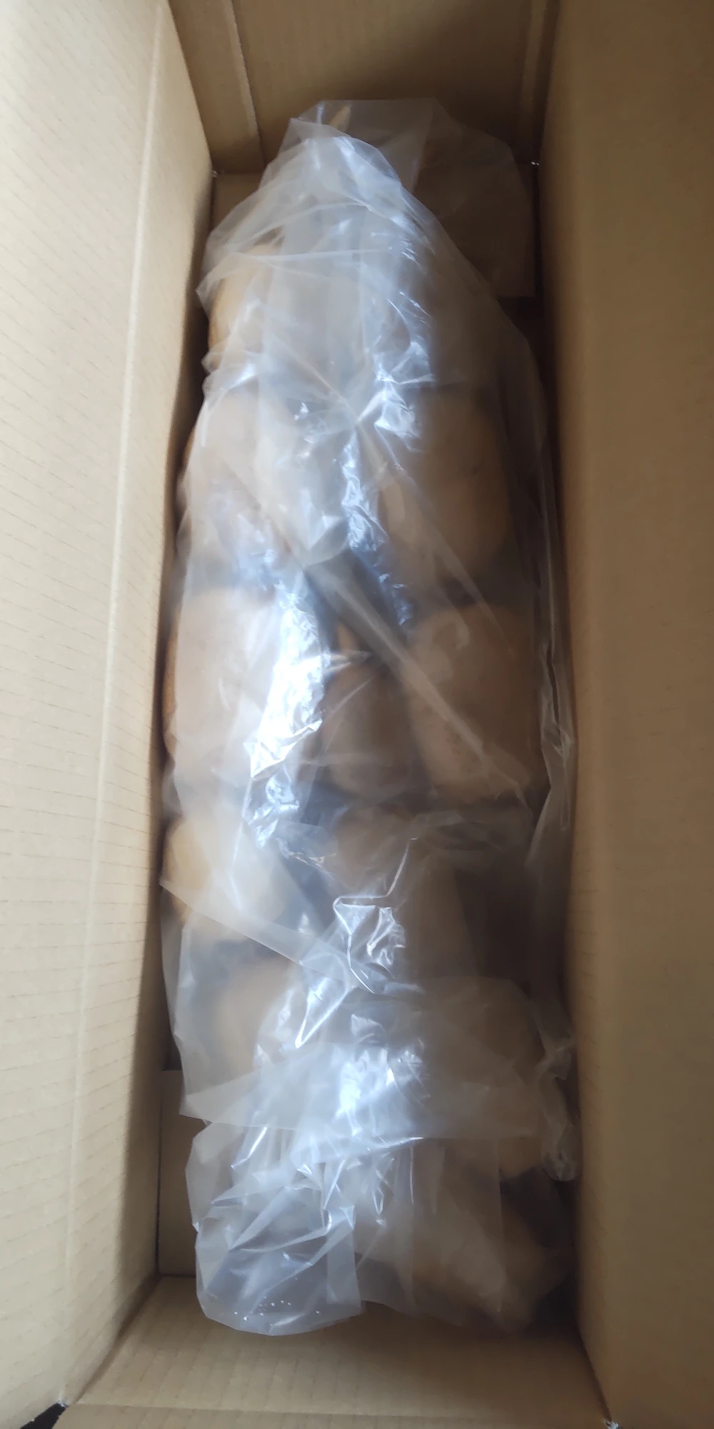 【秋冬の味覚クール便】RENCOOONのれんこん３㎏