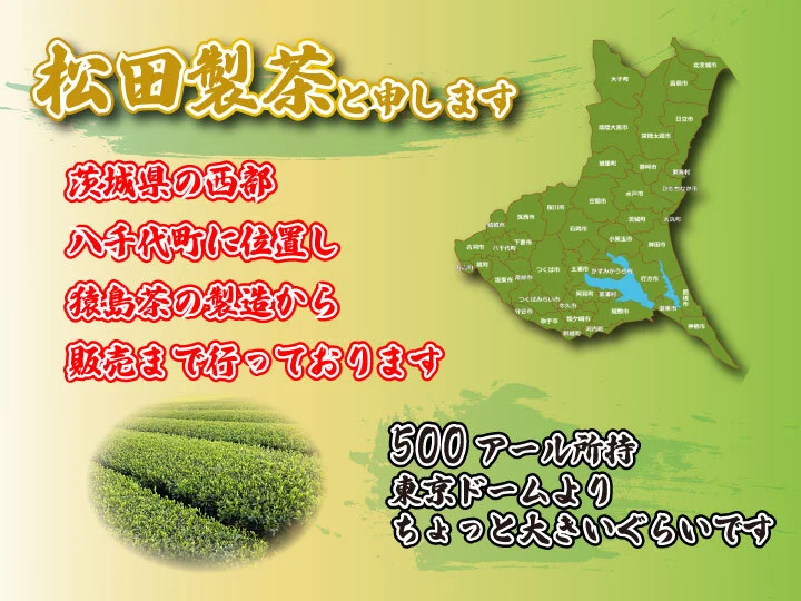 【送料無料】冬のおすすめティーバッグ 3種セット SET-001