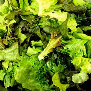 植物工場産　栽培期間中農薬不使用　バラバラレタス