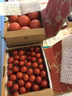 みんなの投稿の画像