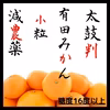 小玉 希少 有田みかん 数量限定 驚異の糖度16以上 甘すぎ注意   小粒　ss