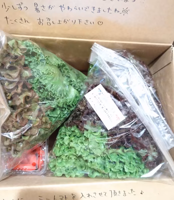 みんなの投稿の画像