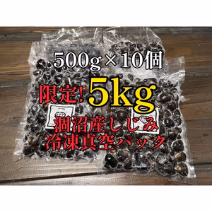 限定‼️疲労回復‼️涸沼産 冷凍しじみMIXサイズ5kg 真空冷凍出荷!