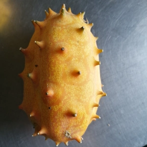 キワノ　horned melon