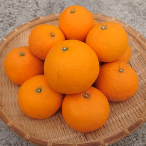 清見オレンジとうすいえんどうのセット