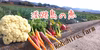 淡路島おまかせ野菜セット80size100size(クール便)