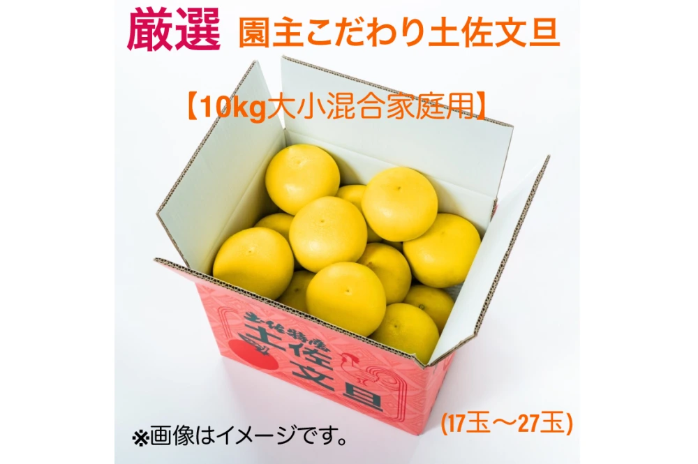 新発売】厳選 園主こだわり土佐文旦10kg大小混合【家庭用】｜果物の