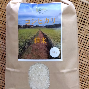 令和6年産コシヒカリ精米5kg