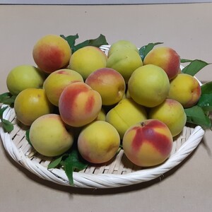 香りただよう　樹守り熟し梅（長束）L～３Lサイズ　800ｇ　和歌山県産