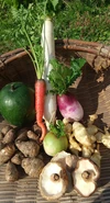 季節の自然栽培(農薬・肥料不使用)野菜セット