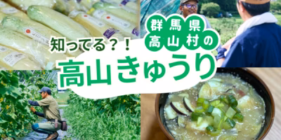 知ってる!? 150年の歴史アリ『群馬県高山村の高山きゅうり🥒』今なら送料無料！