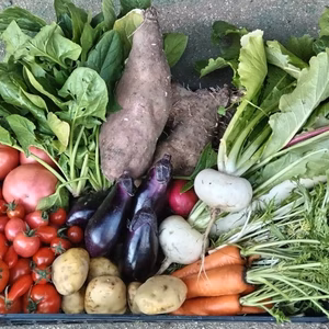 ダンボールに『ぎっしりと!!』野菜セット♪