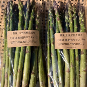 【5月発送★北海海産】農薬化学肥料除草剤不使用★朝採り春芽★アスパラ850g