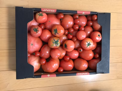 みんなの投稿の画像