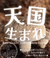 農業天国　「天国生まれ」菌床椎茸　1000g(およそ30～35個)