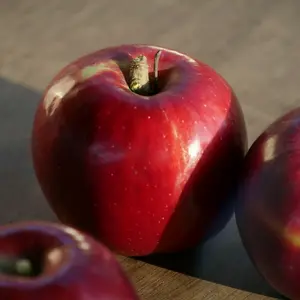 アミノ酸、ミネラル栽培 訳あり紅玉りんご 8キロ