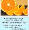 ビッグセール❢身内味比べ【清見オレンジ】＆【春峰オレンジ】家庭用