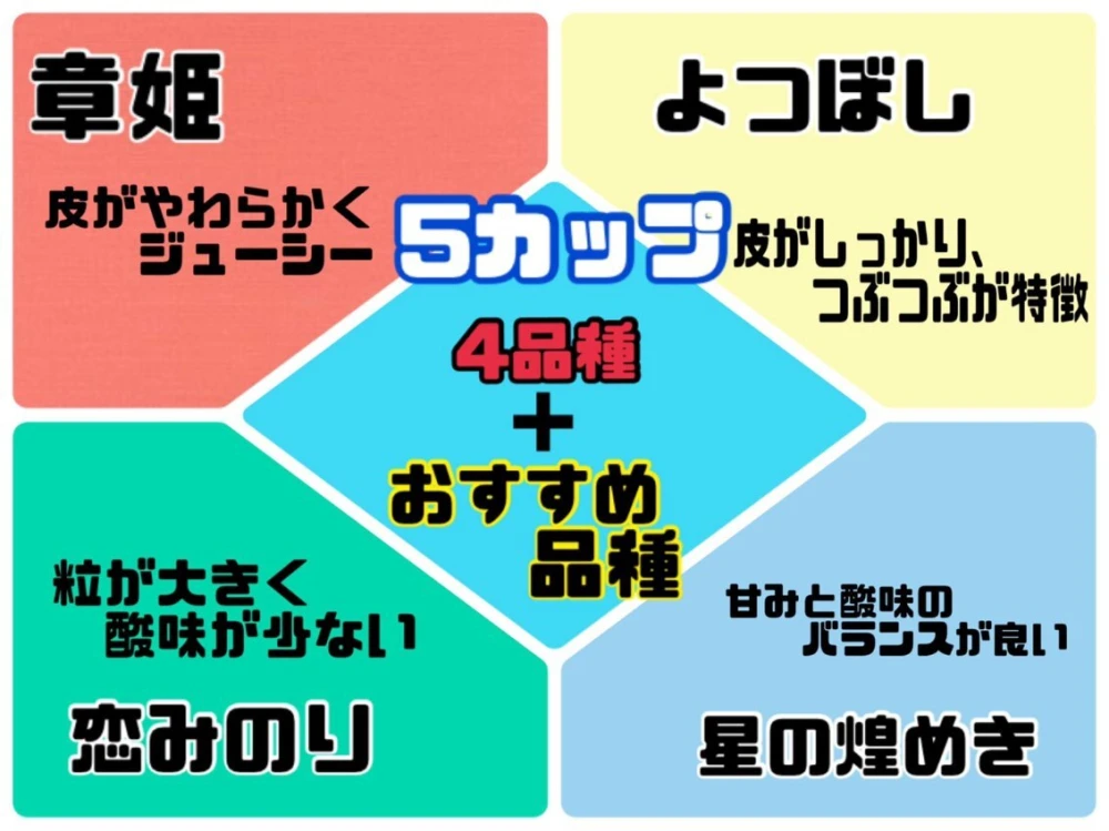 冷凍イチゴカップ（5個入＋練乳チューブ１本付き）