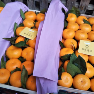 木箱　葉付きみかん
