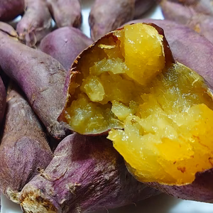 【お得用】しっとりねっとり蜜がいっぱい　【有機JAS／紅はるか】小粒サイズ2kg