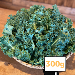 【当農園大人気】60サイズの箱いっぱい!!鮮度抜群のケールを箱いっぱいに詰めてお