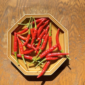 【熊本県天草産】　無農薬唐辛子40g