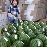 石田陽子 | 石田農園