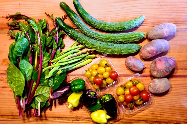 【クール便　Ｓsize】自然農法、自然栽培の旬の野菜詰め合わせセット