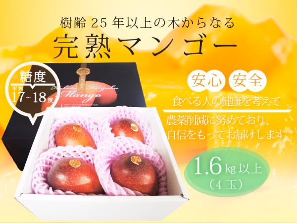 樹齢25年以上の木からなる糖度約17～18度の完熟マンゴー（4玉：1.65kg～