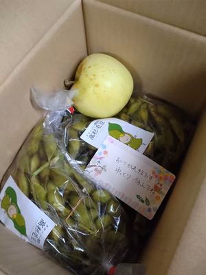 みんなの投稿の画像