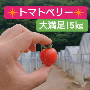 ◆訳ありトマトベリー◆ イチゴの形の大人気トマト！5㎏！