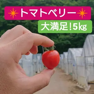 ◆訳ありトマトベリー◆ イチゴの形の大人気トマト！5㎏！