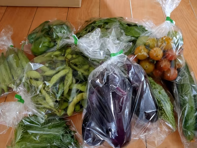 みんなの投稿の画像