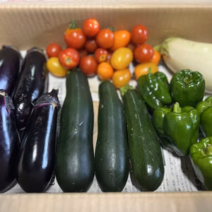 【訳あり】夏野菜セット　群馬県東吾妻町産　（なす・ズッキーニ・ピーマン・ミニトマ