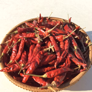 とうがらし 鷹の爪 B品  農薬・化学肥料”不使用“