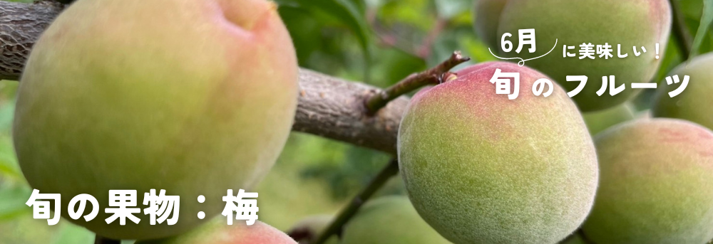 6月に旬の梅