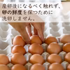 【安心の返金・割れ交換保証付】塩で食べる卵かけご飯 山もりたまご