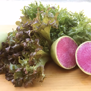 サラダにおすすめ映える野菜セット