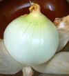淡路島新玉ねぎ3キロ