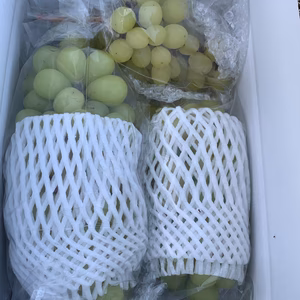 山梨県勝沼産【産地直送】木枯らし薄黄色の独特な美味しさのシャインマスカット