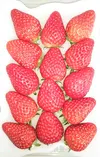 幸せイチゴ-三角形(静岡研究開発品種：紅ほっぺ）