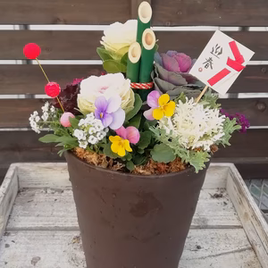 洋風ミニ葉牡丹の和風にも洋風にも門松風寄せ植え★ブラウン★